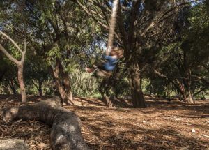 Nature Based Play Proven Design Rope Swing